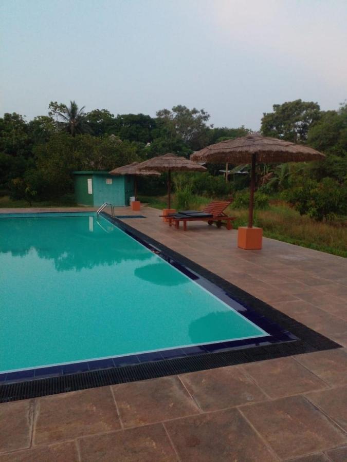 Sigiriya Peacock Homestay Экстерьер фото