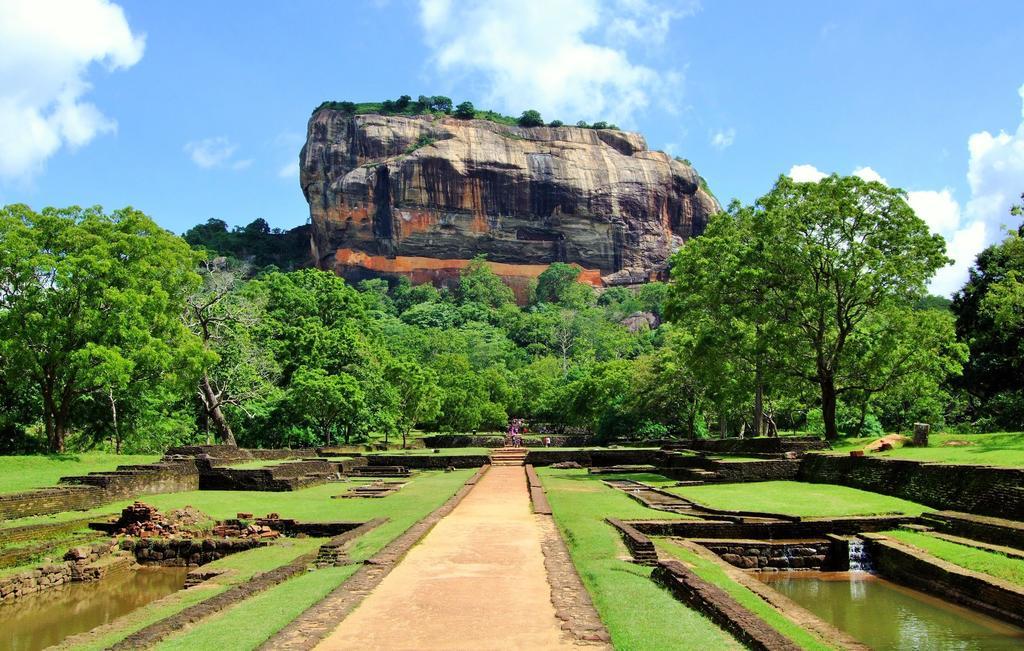Sigiriya Peacock Homestay Экстерьер фото