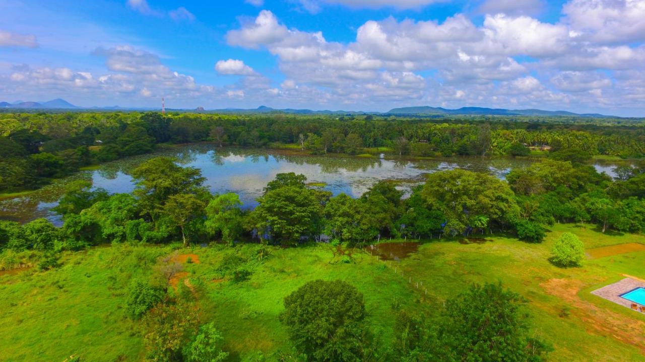 Sigiriya Peacock Homestay Экстерьер фото